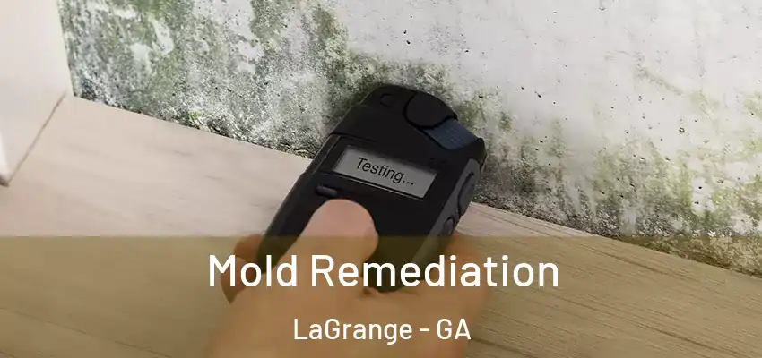 Mold Remediation LaGrange - GA