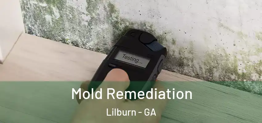 Mold Remediation Lilburn - GA