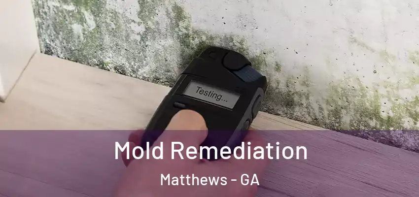 Mold Remediation Matthews - GA