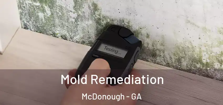 Mold Remediation McDonough - GA