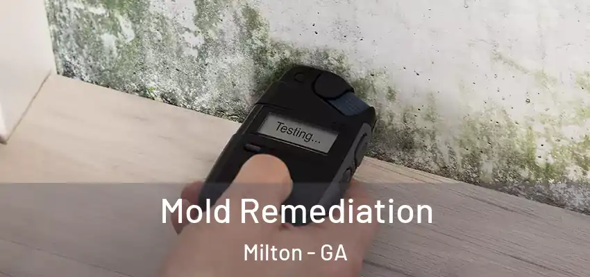 Mold Remediation Milton - GA