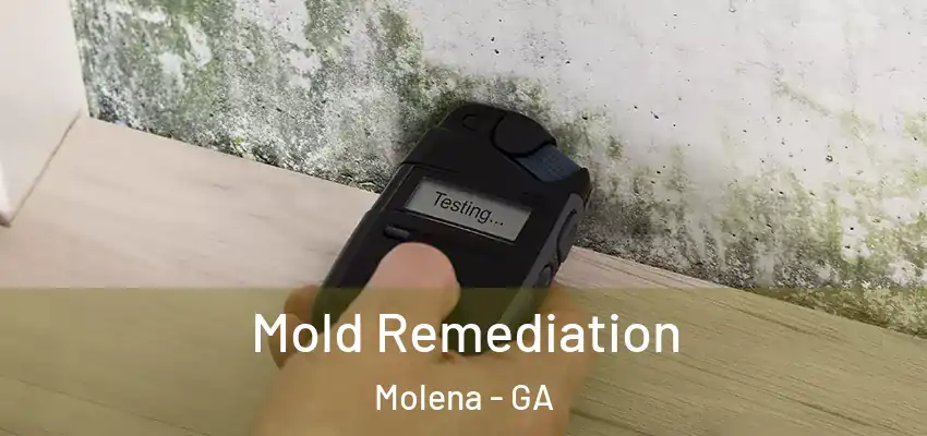 Mold Remediation Molena - GA