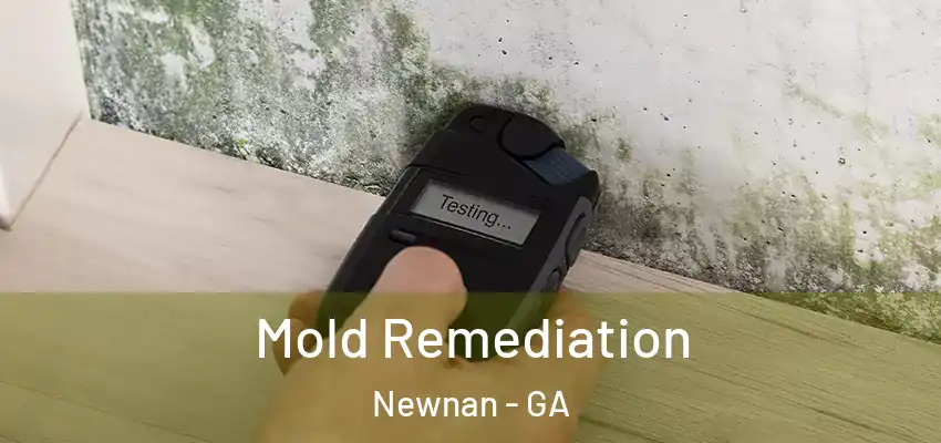 Mold Remediation Newnan - GA