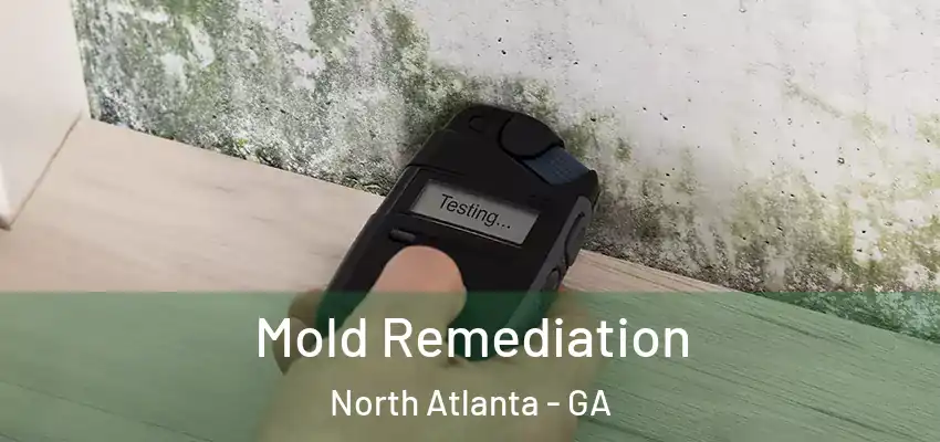  Mold Remediation North Atlanta - GA