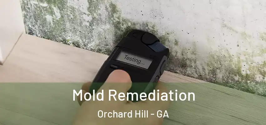  Mold Remediation Orchard Hill - GA