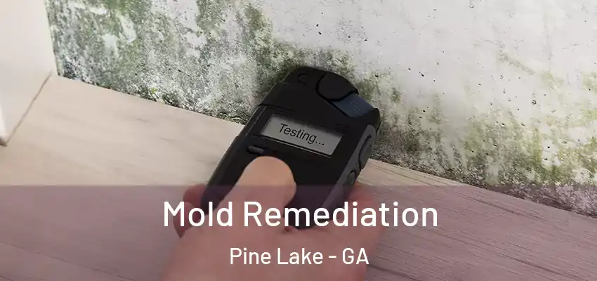  Mold Remediation Pine Lake - GA