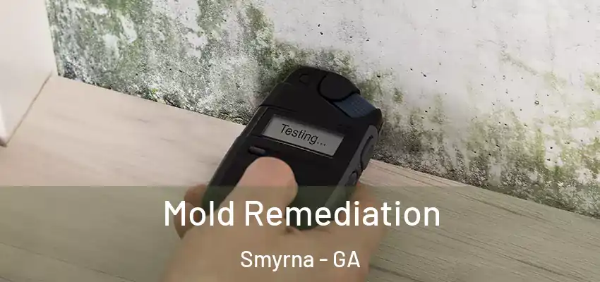 Mold Remediation Smyrna - GA