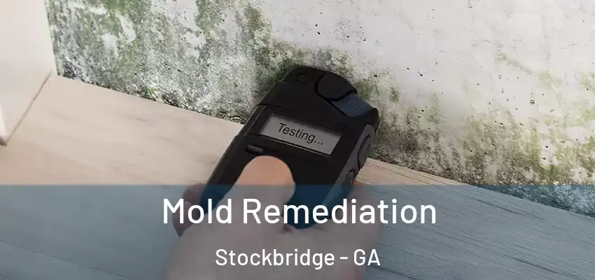 Mold Remediation Stockbridge - GA