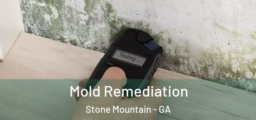 Mold Remediation Stone Mountain - GA