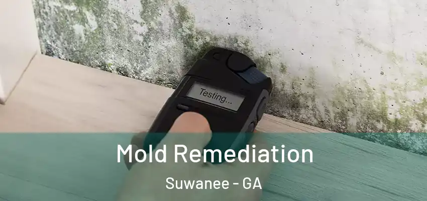 Mold Remediation Suwanee - GA