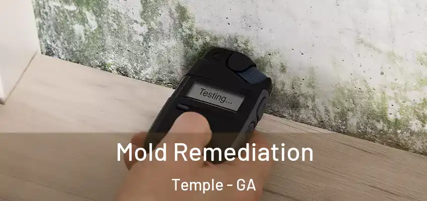 Mold Remediation Temple - GA