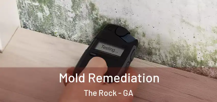  Mold Remediation The Rock - GA