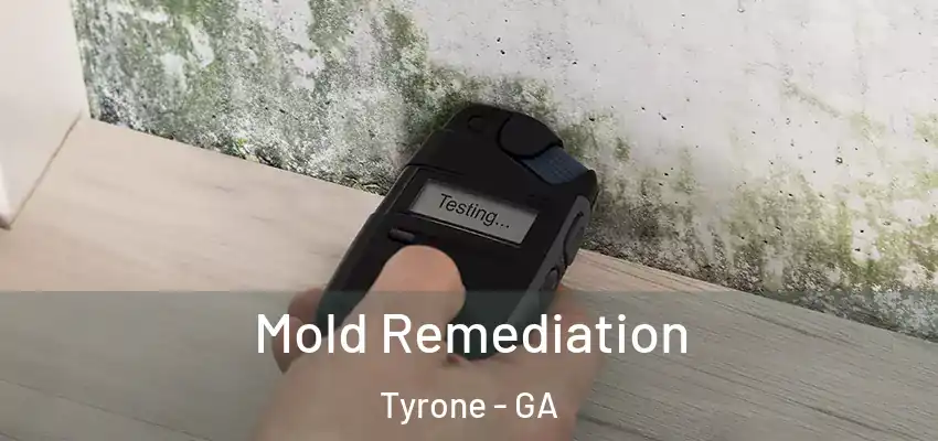 Mold Remediation Tyrone - GA