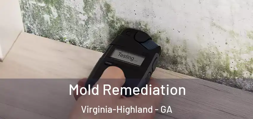 Mold Remediation Virginia-Highland - GA