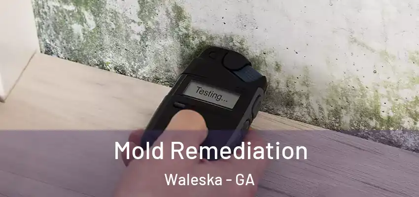 Mold Remediation Waleska - GA