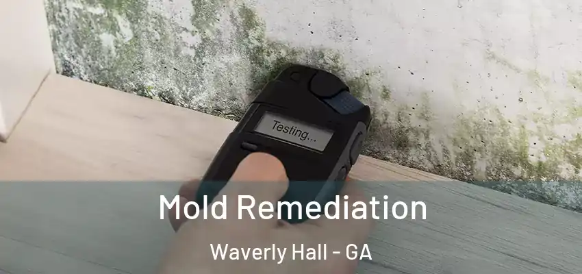  Mold Remediation Waverly Hall - GA