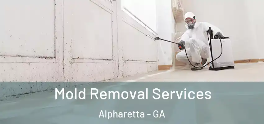 Mold Removal Services Alpharetta - GA