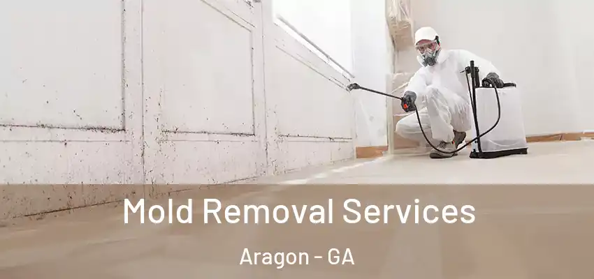 Mold Removal Services Aragon - GA