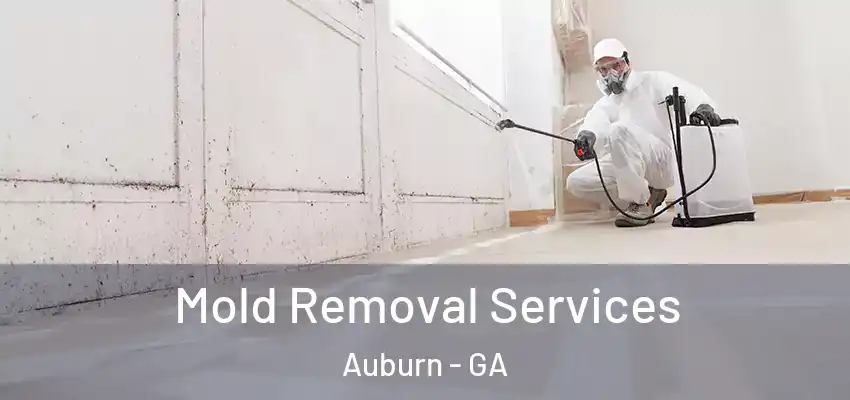 Mold Removal Services Auburn - GA