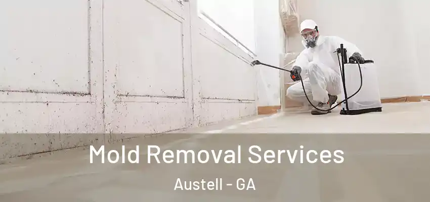 Mold Removal Services Austell - GA