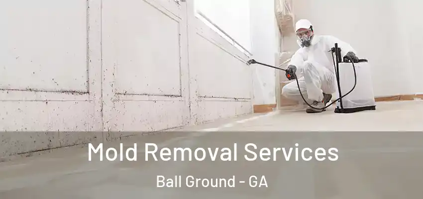 Mold Removal Services Ball Ground - GA