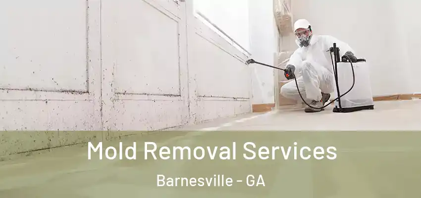 Mold Removal Services Barnesville - GA