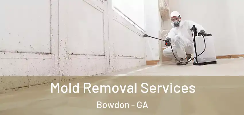 Mold Removal Services Bowdon - GA
