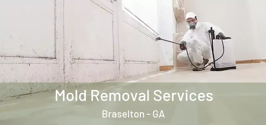 Mold Removal Services Braselton - GA