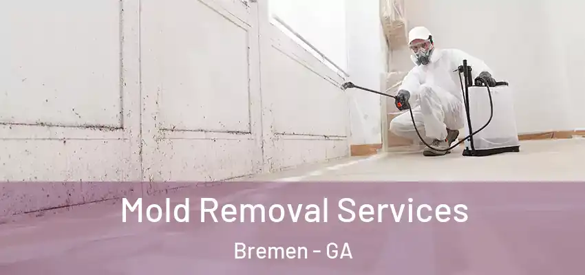 Mold Removal Services Bremen - GA