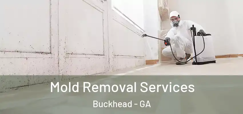 Mold Removal Services Buckhead - GA