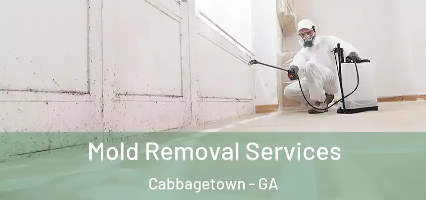 Mold Removal Services Cabbagetown - GA