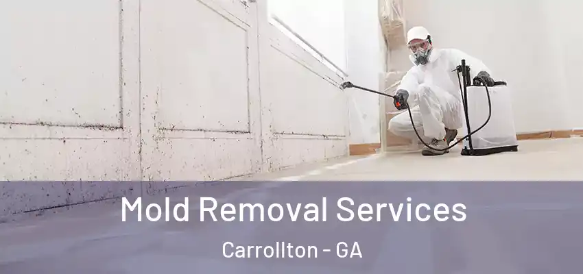 Mold Removal Services Carrollton - GA