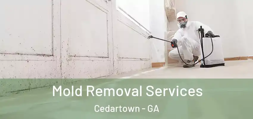Mold Removal Services Cedartown - GA