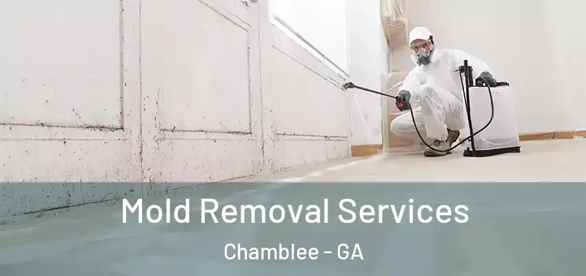 Mold Removal Services Chamblee - GA
