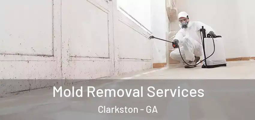 Mold Removal Services Clarkston - GA
