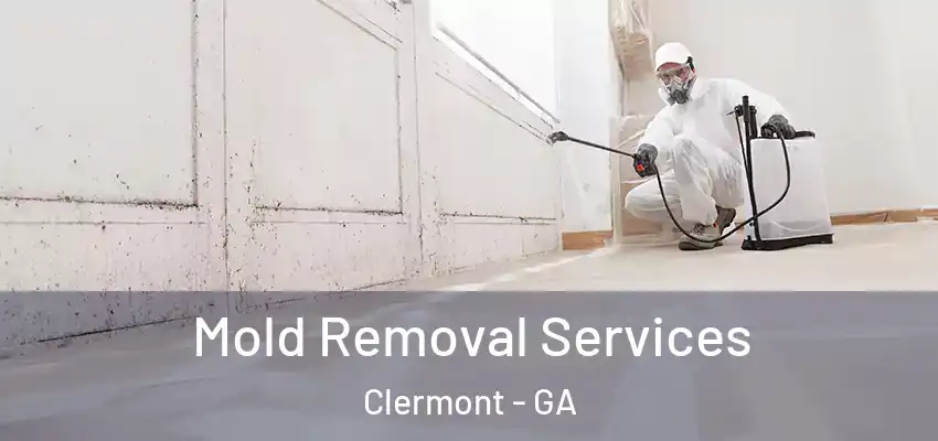 Mold Removal Services Clermont - GA