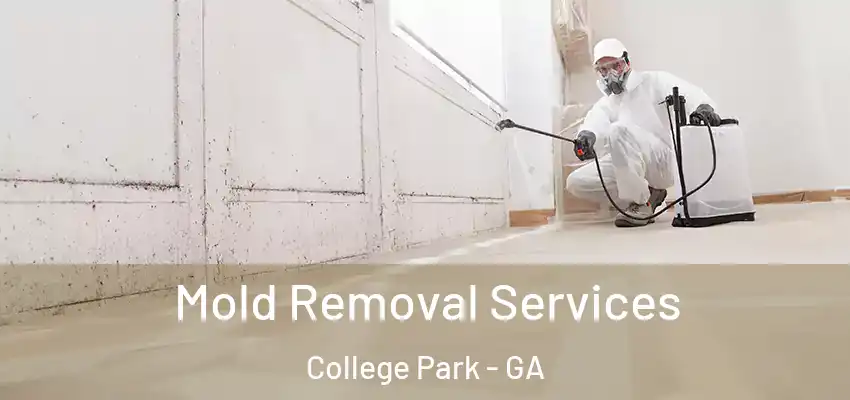 Mold Removal Services College Park - GA