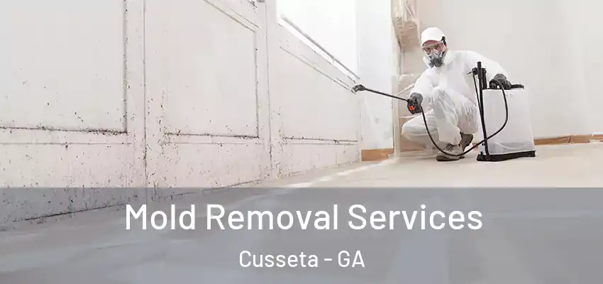 Mold Removal Services Cusseta - GA