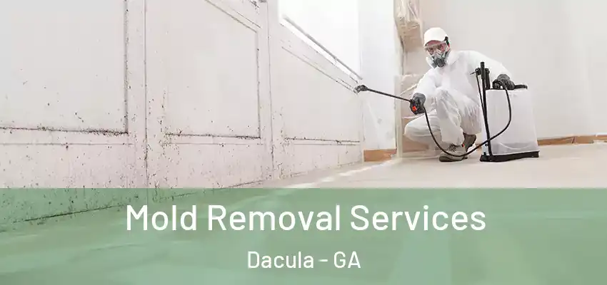 Mold Removal Services Dacula - GA