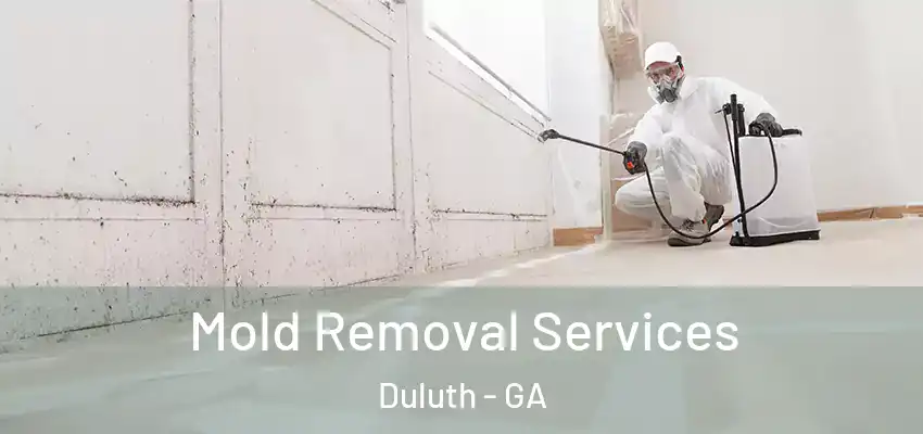 Mold Removal Services Duluth - GA