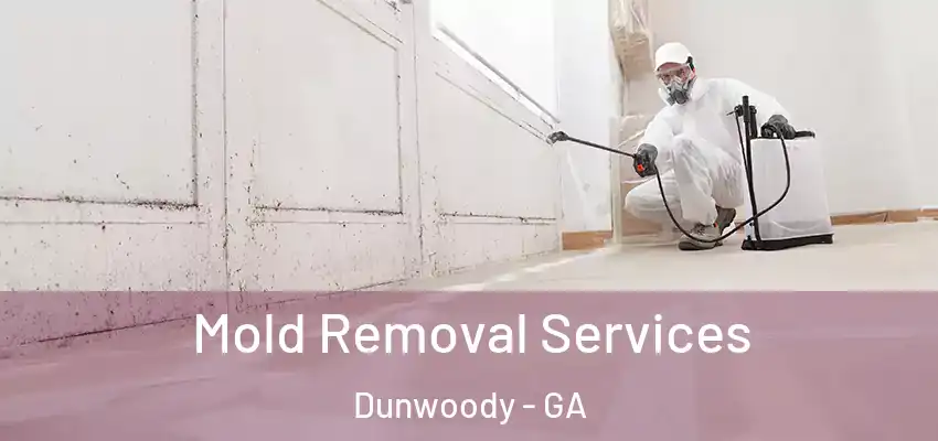 Mold Removal Services Dunwoody - GA