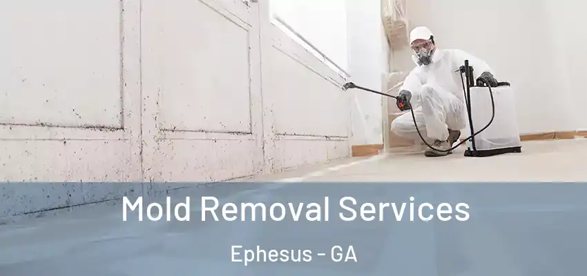 Mold Removal Services Ephesus - GA