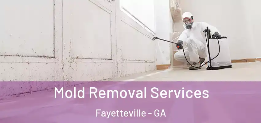  Mold Removal Services Fayetteville - GA