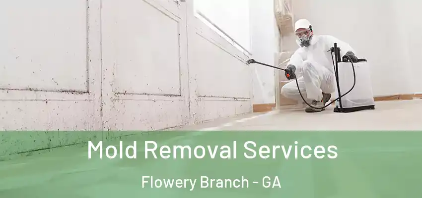 Mold Removal Services Flowery Branch - GA