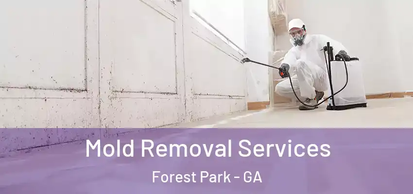 Mold Removal Services Forest Park - GA