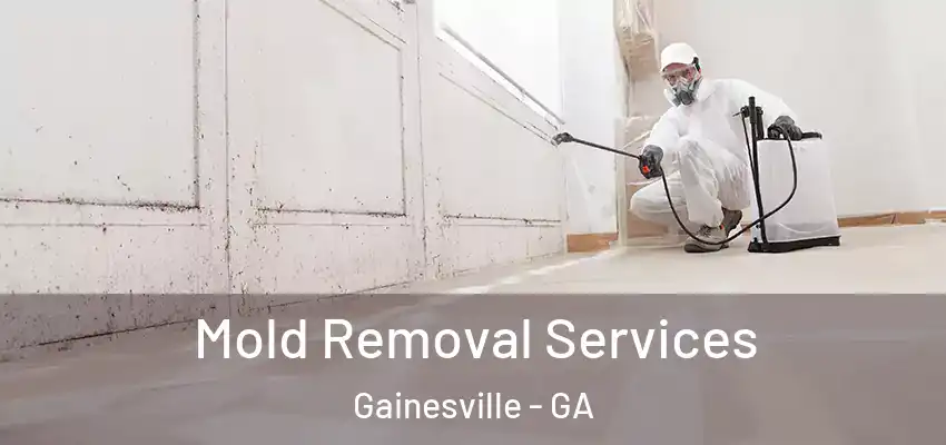 Mold Removal Services Gainesville - GA