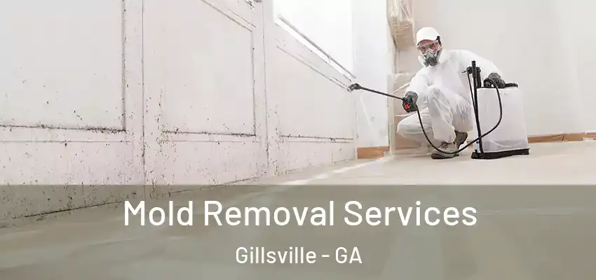 Mold Removal Services Gillsville - GA