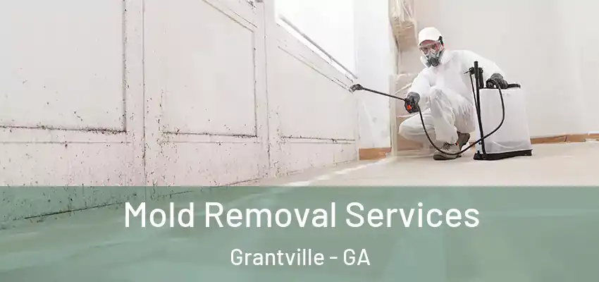  Mold Removal Services Grantville - GA