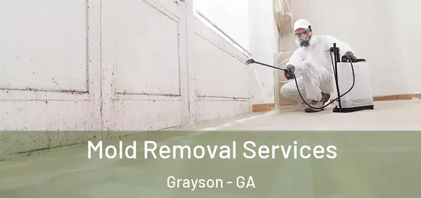 Mold Removal Services Grayson - GA