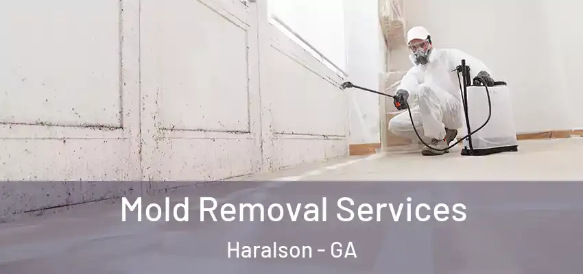 Mold Removal Services Haralson - GA
